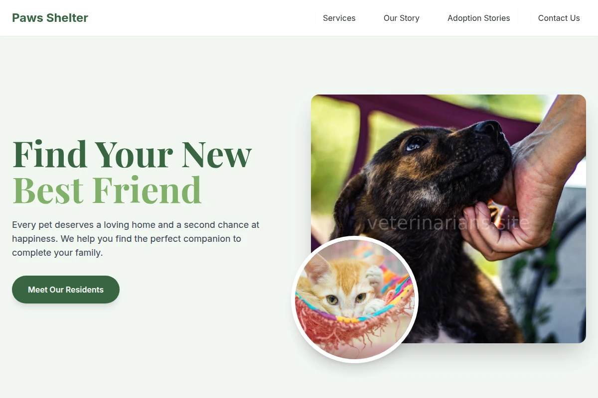 Paws Animal Shelter