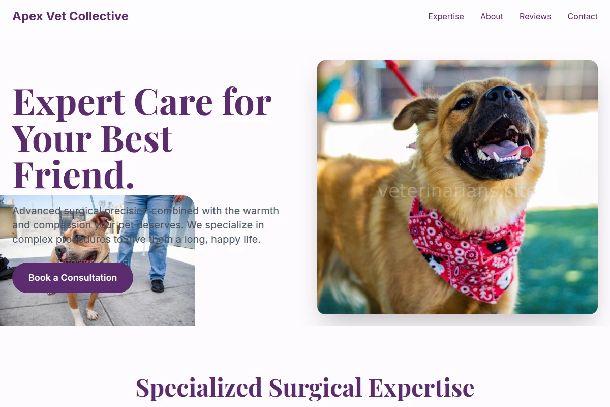 Surgical Animal Shelter