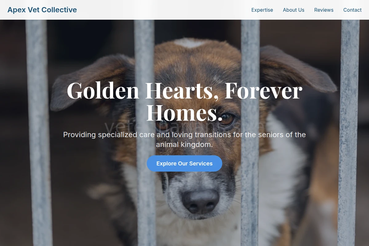 Geriatric Animal Shelter