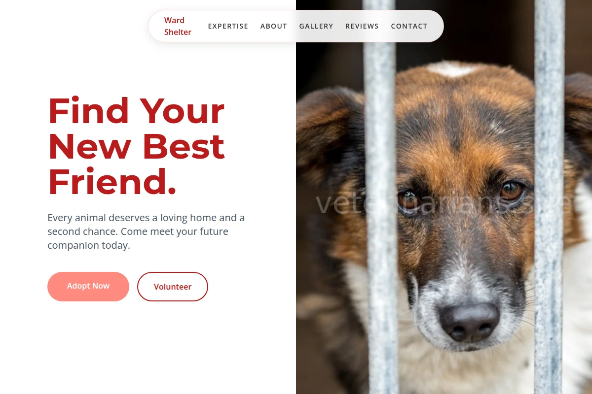 Ward Animal Shelter