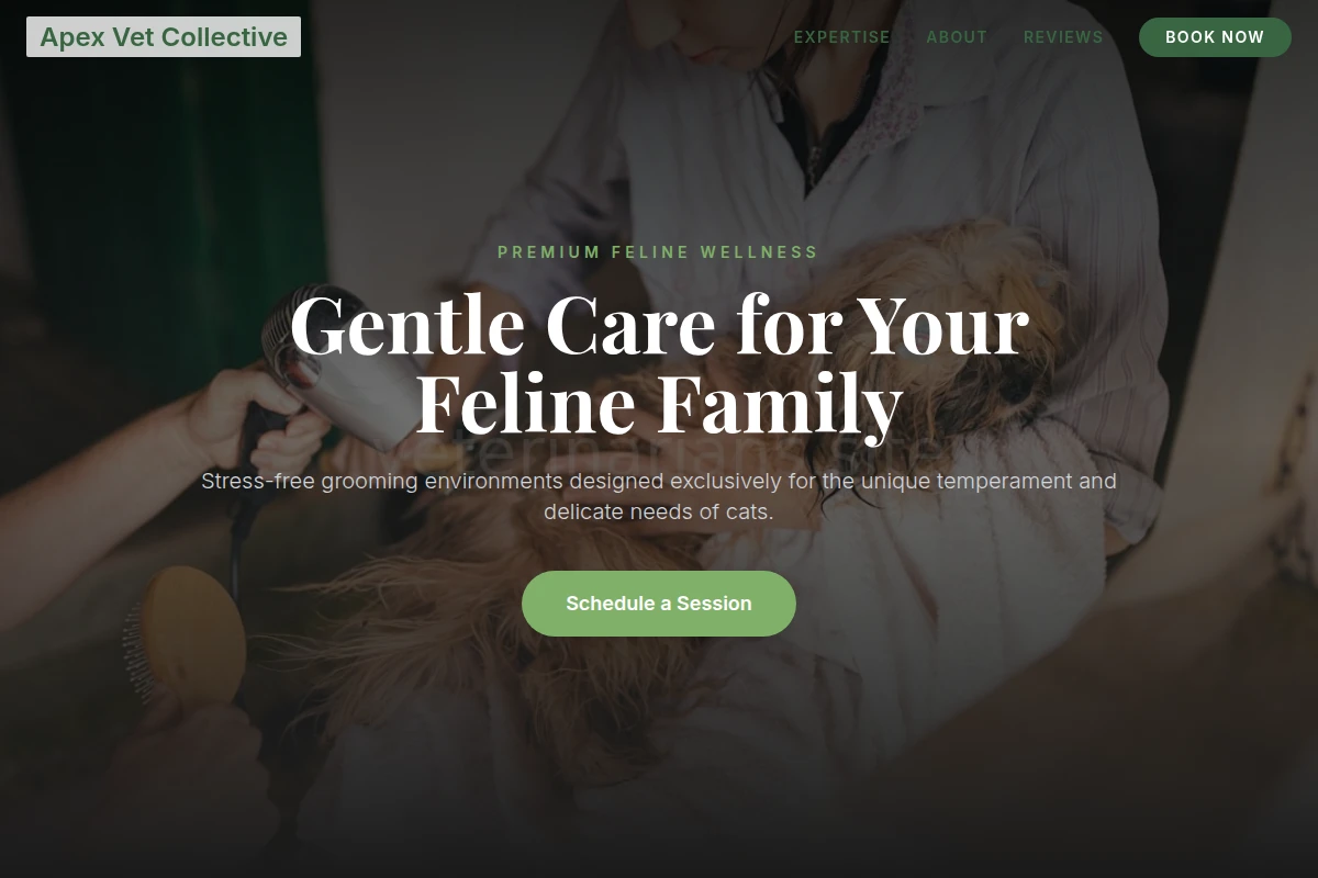 Feline Pet Grooming